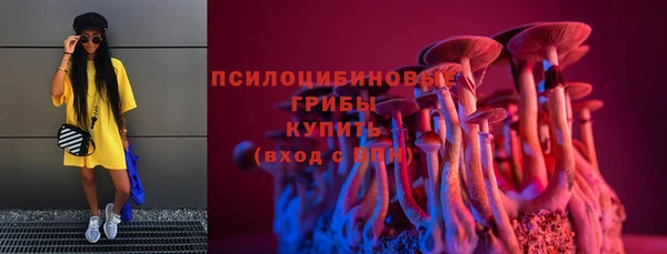 таблы Горняк