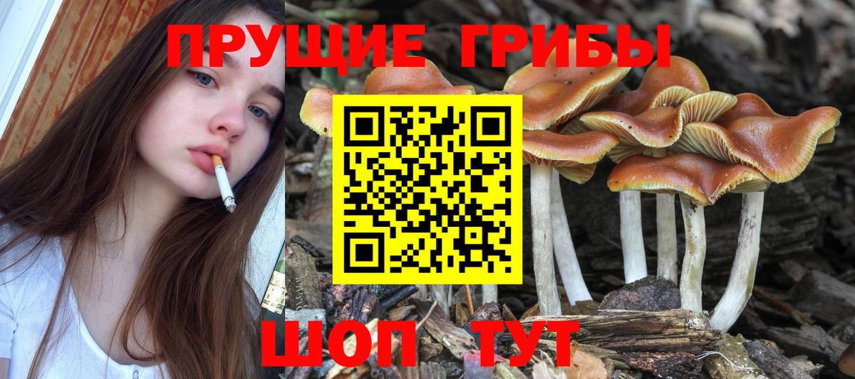 Псилоцибиновые грибы ЛСД Дедовск