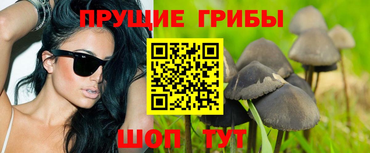 Галлюциногенные грибы Magic Shrooms Дедовск