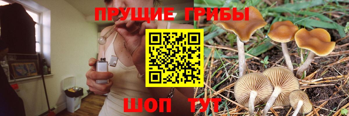 Псилоцибиновые грибы Cubensis  Галлюциногенные грибы мухоморы  Дедовск  Вход с VPN 